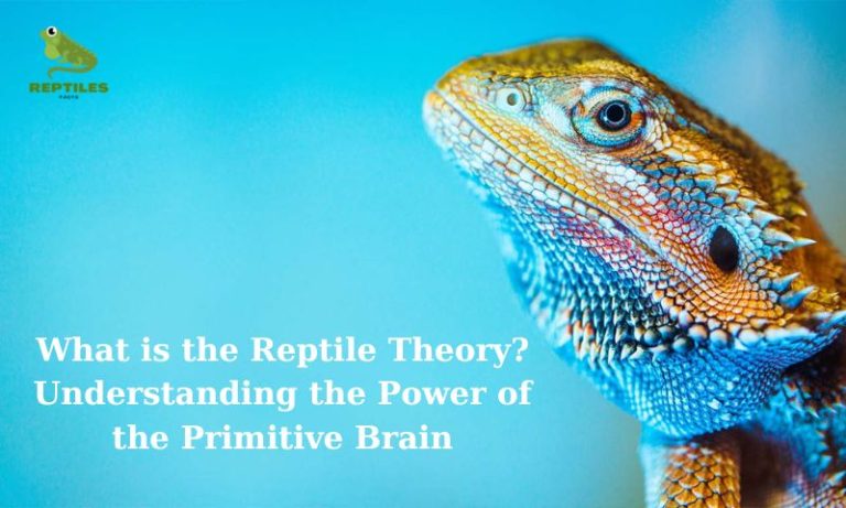 Unleashing the Power of the Reptile Theory: Connect with Your Audience on a Deeper Level
