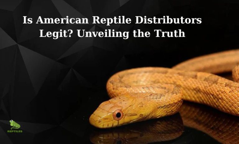Is American Reptile Distributors Legit? The Truth Uncovered