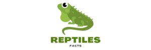reptilesfacts.com